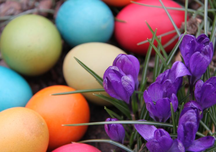 Ostereier und Krokusse